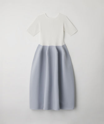 ＰＯＴＴＥＲＹ ＣＵＰＲＯ ＳＨＯＲＴ ＳＬＥＥＶＥ ＤＲＥＳＳ の